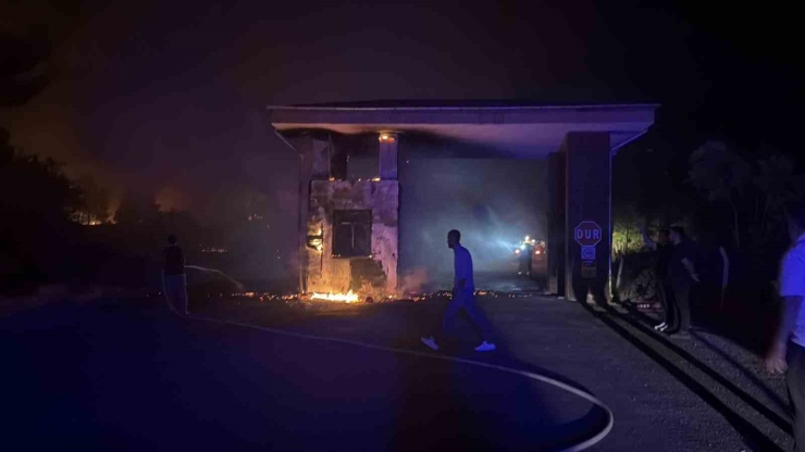 Adıyaman’da Orman Yangını