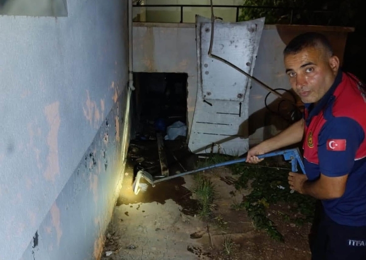Evin Deposuna Giren Yılan Ekipleri Harekete Geçirdi
