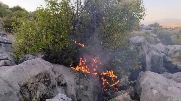 Besni’de Ormanlık Alanda Çıkan Yangın Korkuttu