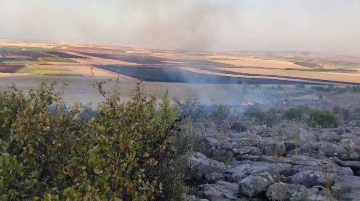 Besni’de Ormanlık Alanda Çıkan Yangın Korkuttu