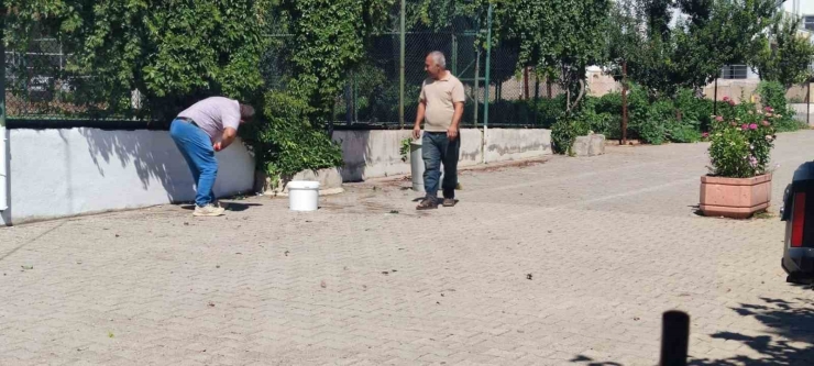 Fatih Anadolu Lisesi’nde Okulun Bakım Ve Onarımı Personelin Emeğiyle Yapılıyor