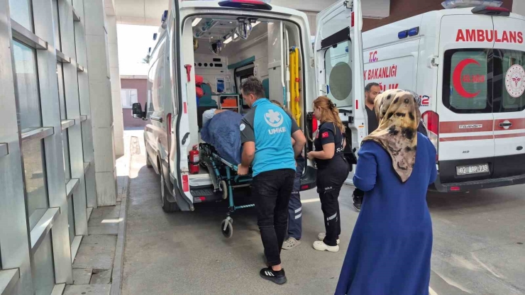 İncir Toplarken Ağaçtan Düşen Kişi Yaralandı