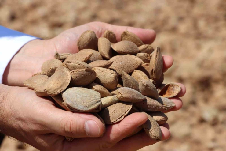 Kahta’da Tarımsal Mekanizasyon Destekleri Çiftçilere Kazandırıldı