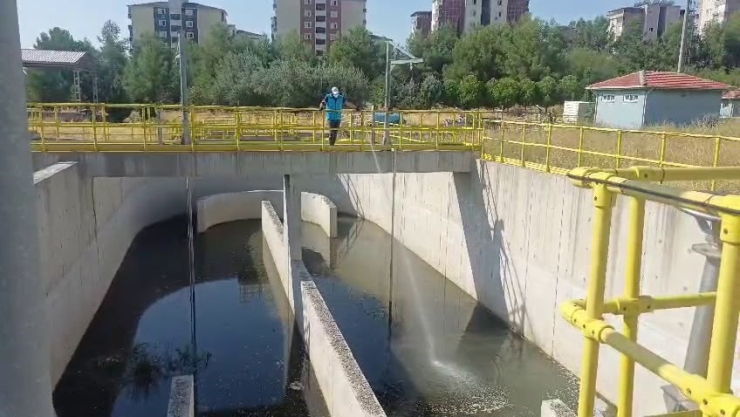 Adıyaman’da Karasinek Ve Haşereye Karşı Mücadele Sürüyor