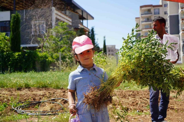 Belediye Üretiyor, Vatandaş Uygun Fiyatla Alıyor