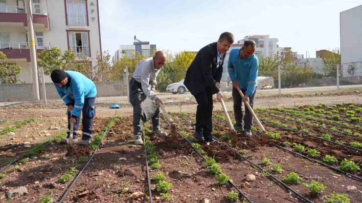 Belediye Üretiyor, Vatandaş Uygun Fiyatla Alıyor