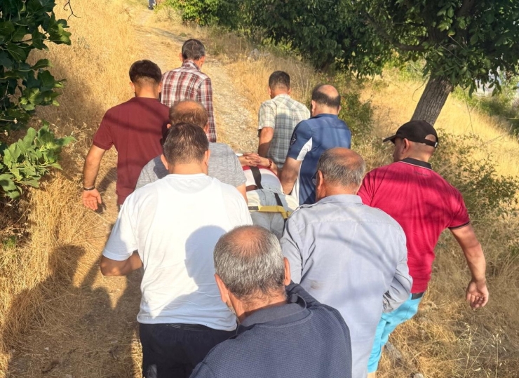 Ceviz Ağacından Düşen Kişi Yaralandı