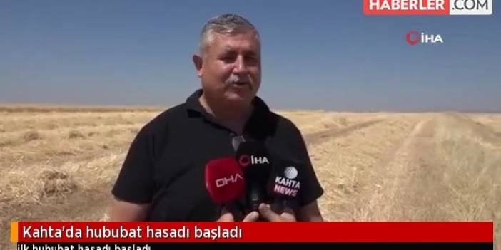 Kahta'da hububat hasadı başladı