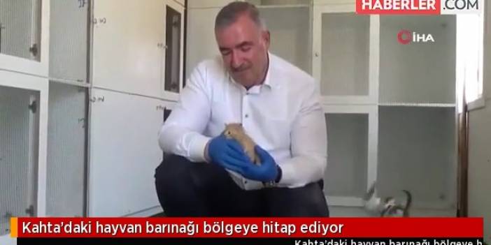 Kahta’daki Hayvan Barınağı Bölgeye Hitap Ediyor