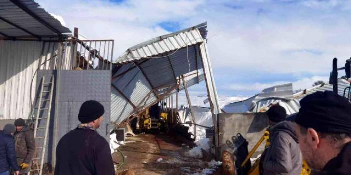 ÇİFTLİK ÇÖKTÜ, 22 BÜYÜKBAŞ HAYVAN TELEF OLDU