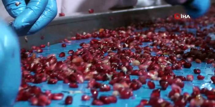 Kahta narı kozmetikte kullanacak