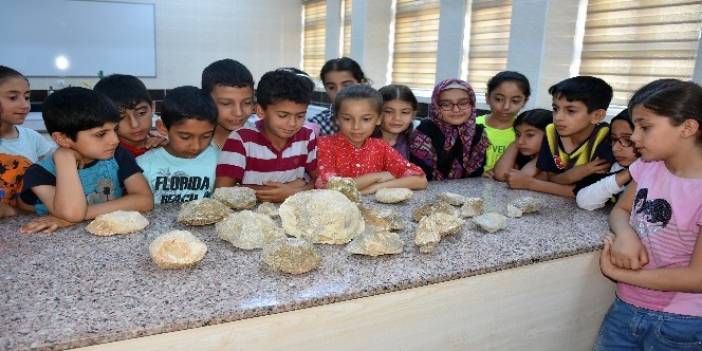 Öğrenciler 70 milyon yıllık fosilleri dokunarak inceledi